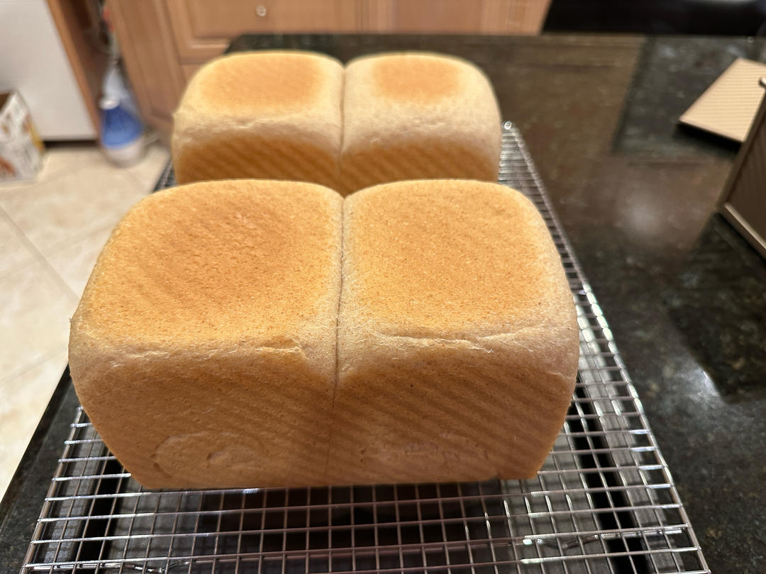 夺命软吐司(๑´ڡ`๑)超软拉丝极速方便的一次发酵吐司