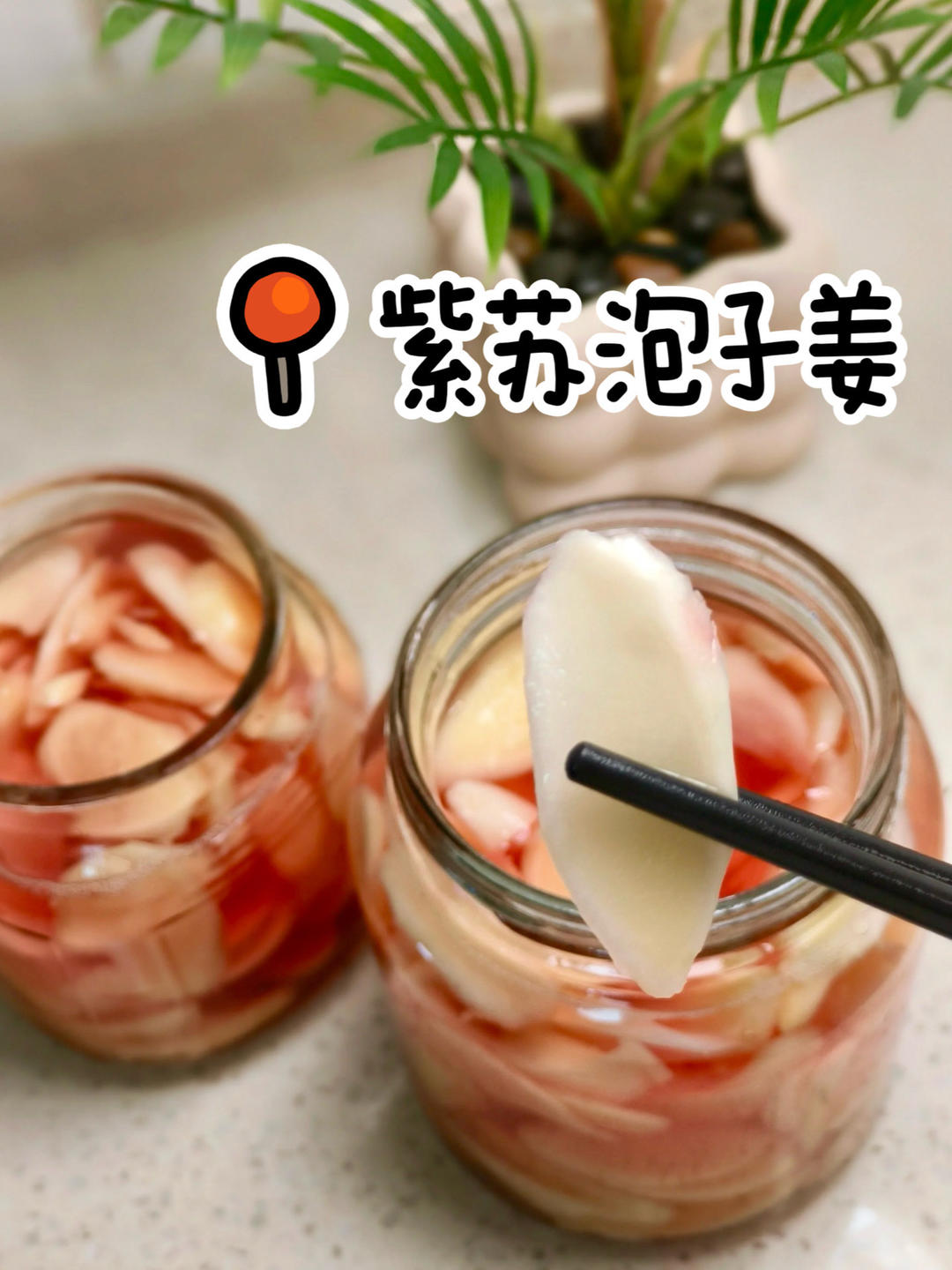 冬吃萝卜夏吃姜‼️这样做的的紫苏泡子姜太棒了