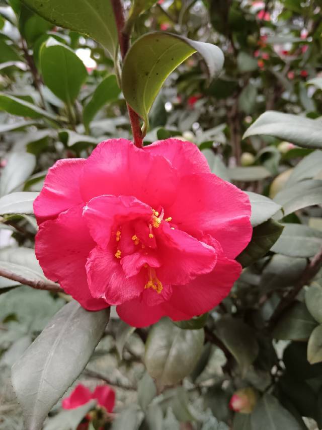 下厨房用户_8d2v