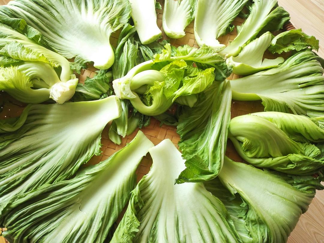 自制酸菜
