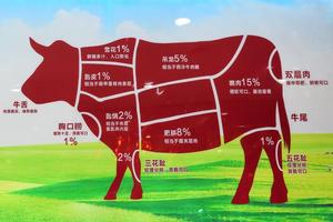 牛肉的部位图解与做法(来自度娘)的做法 步骤7