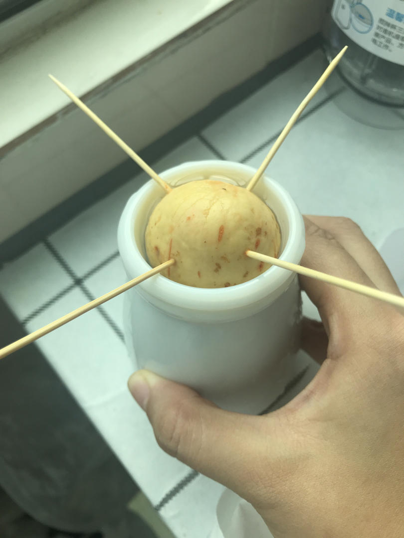 牛油果奶昔🥑入坑就无法自拔的神仙牛奶
