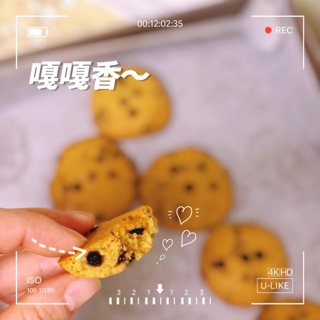 比趣多多还要好吃“巧克力豆曲奇饼干”