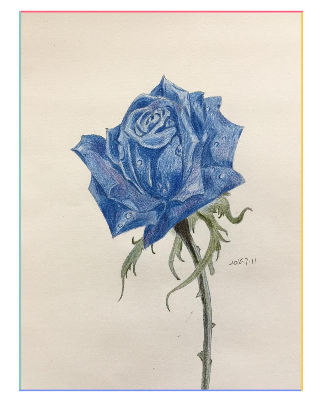 学彩铅画画