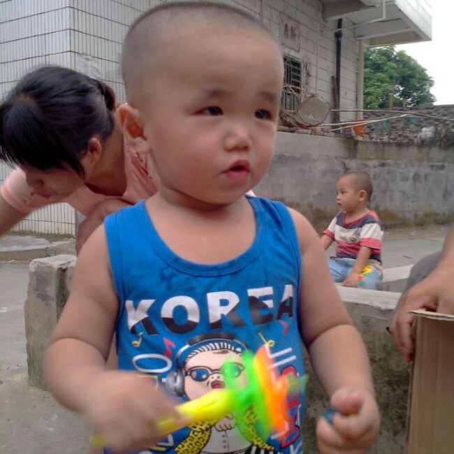 鲟龙鱼爱吃酸芒果