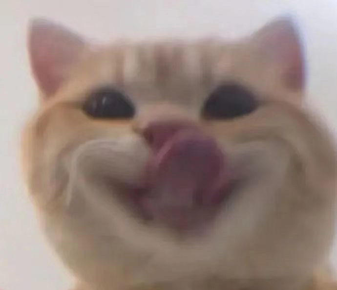 蟹蟹做饭香香