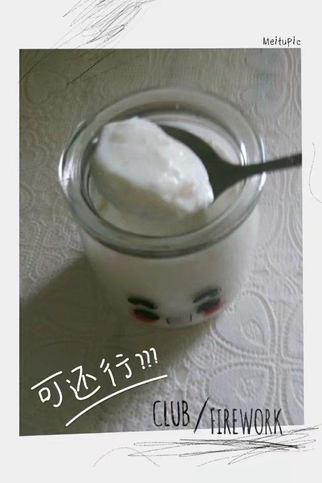 电饭锅版自制酸奶