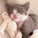 咕噜咕噜琪琪酱