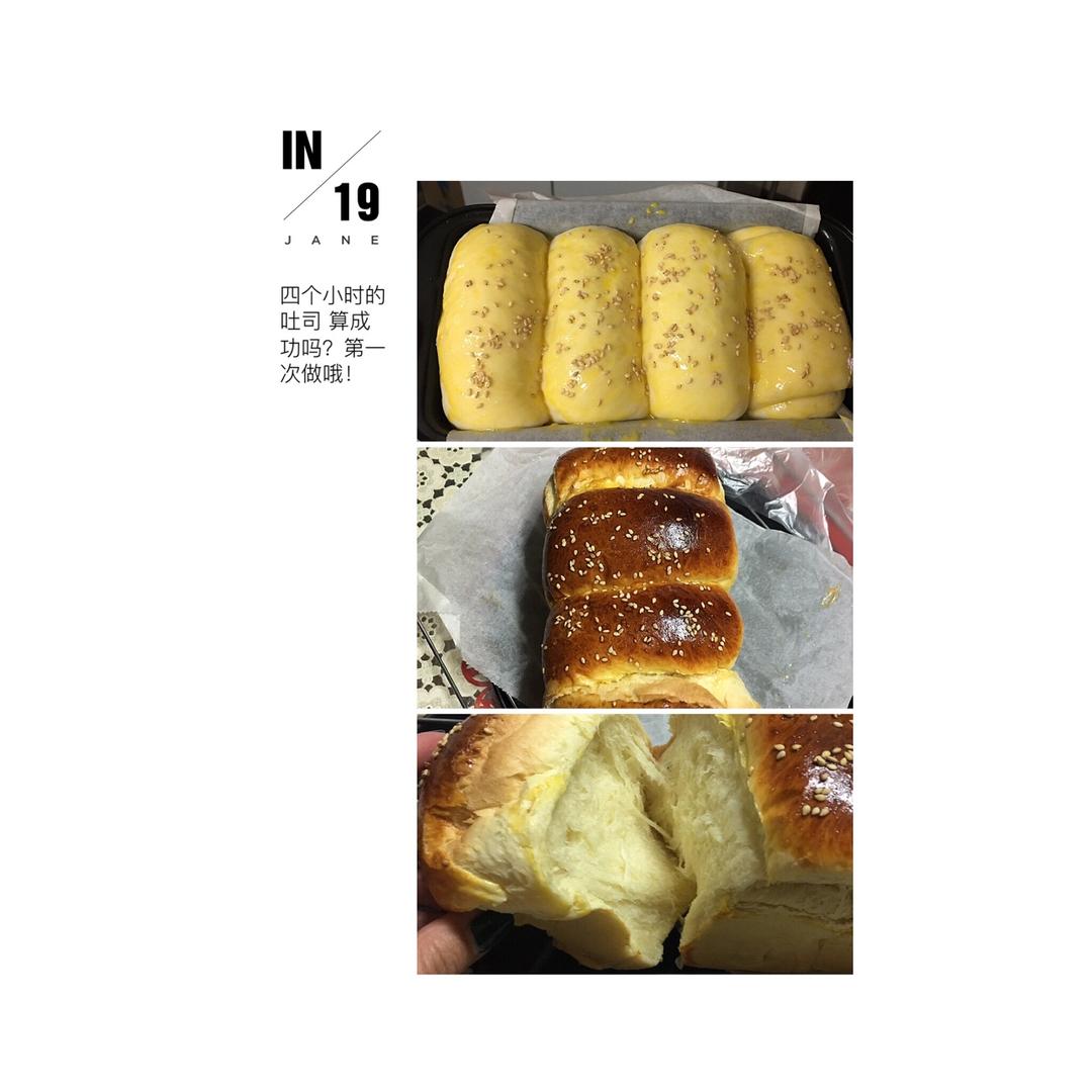 基础面包制作 Basic Bread (Loaf&Roll)