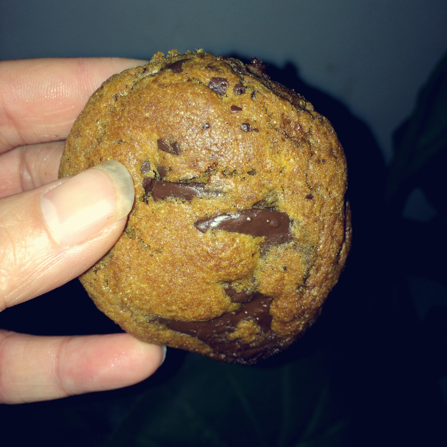 香草海盐巧克力大曲奇