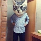 饲养大脸猫的小天使