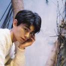 金丝雀不是金丝鸟