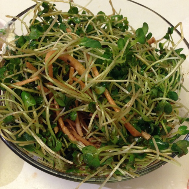 倨傲忙了做的凉拌萝卜缨