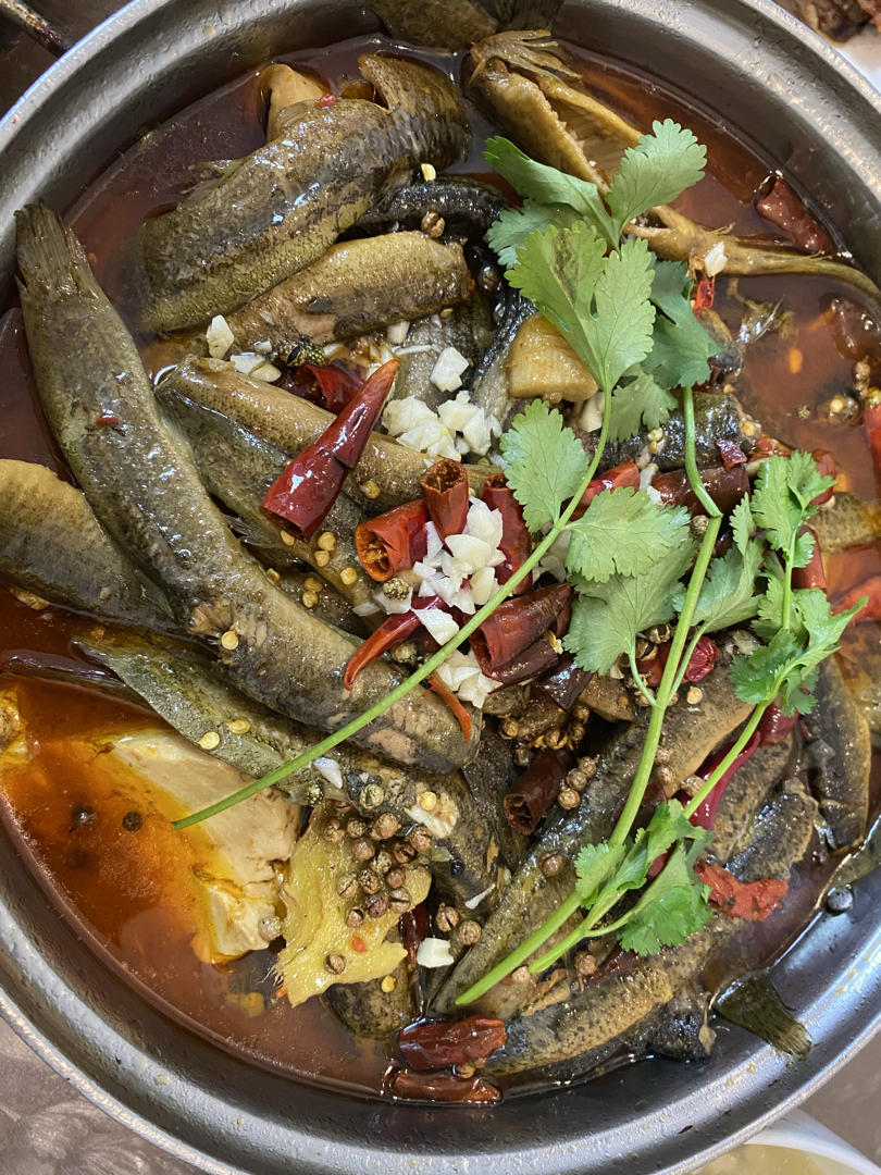 橘丽丝 | 烧泥鳅