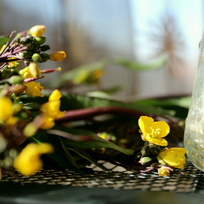 默默做，默默拍，默默秀