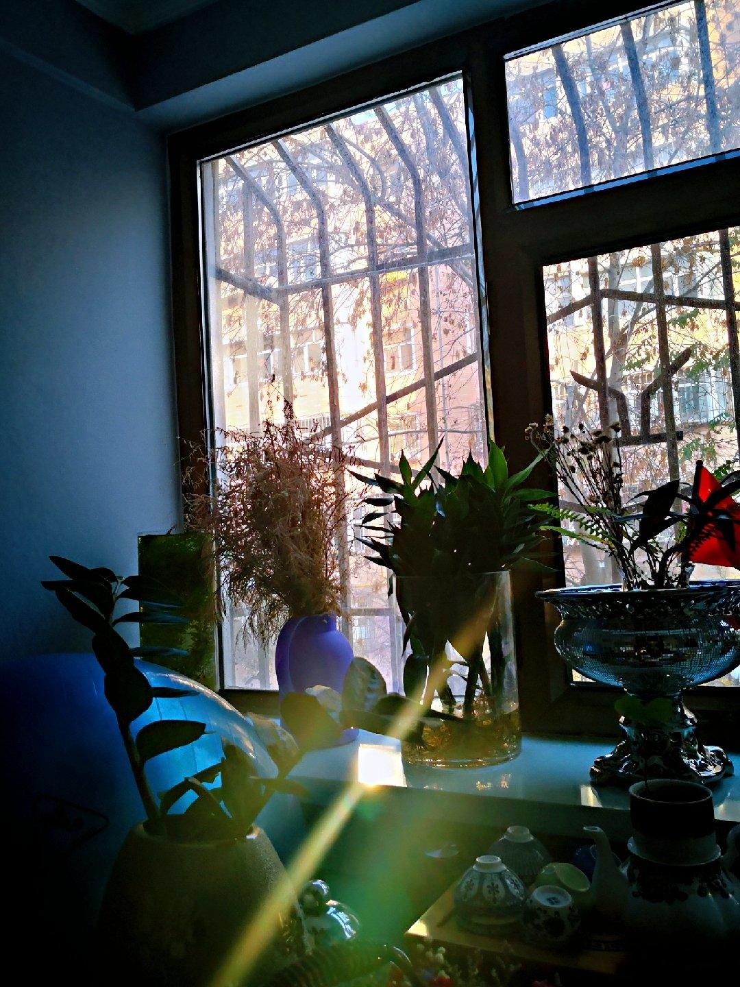 午餐•2019年11月26日