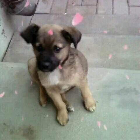 我我我你你你他他她