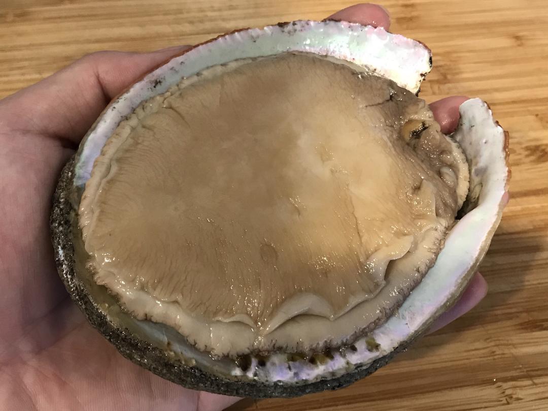 鲜活大鲍鱼处理