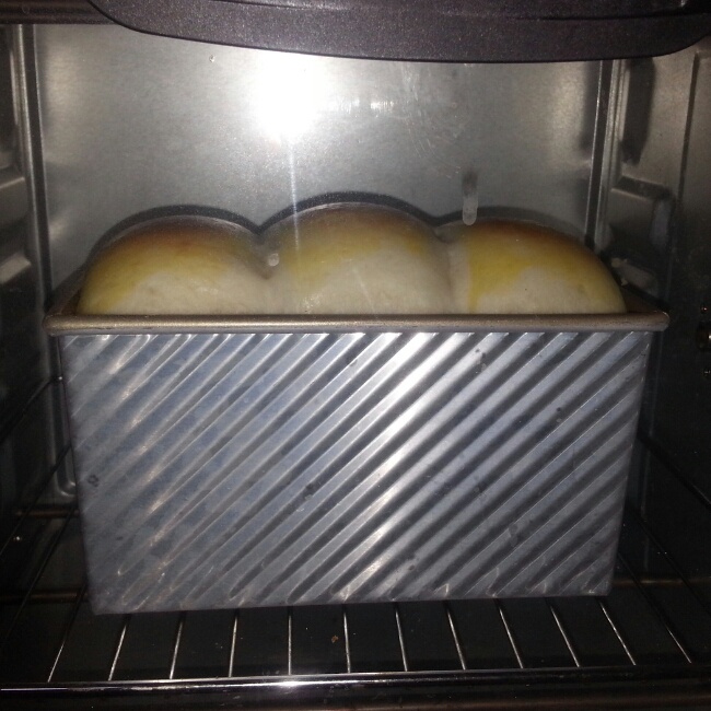 【北海道吐司】体验经典-妃娟100%中种，冷藏冰种的美味