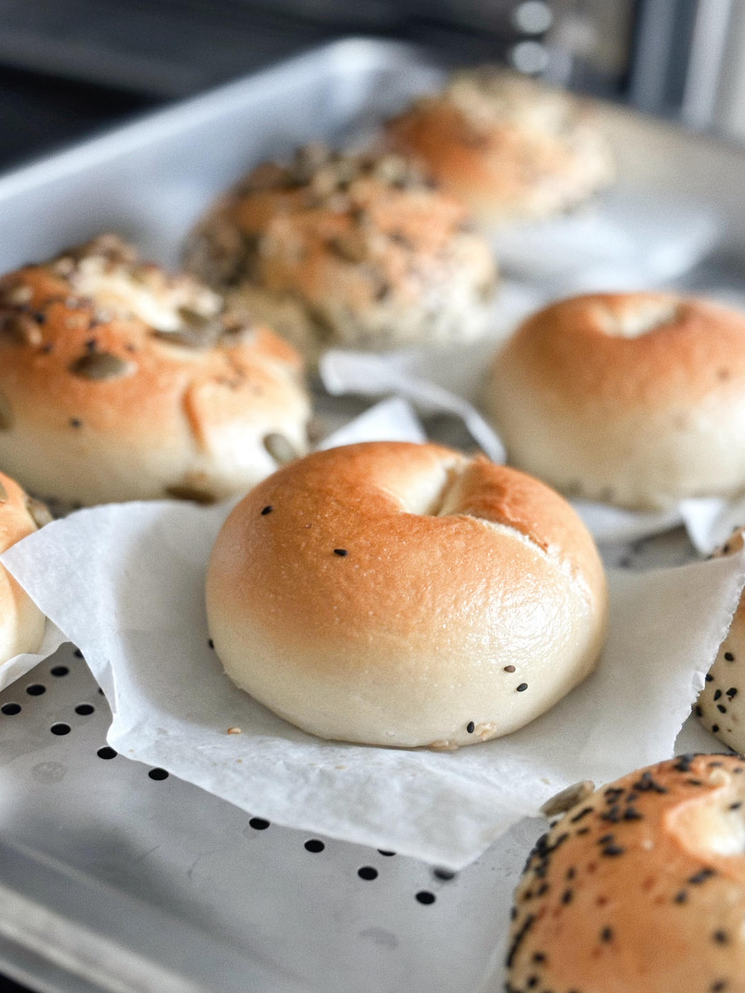 （波兰种）贝果