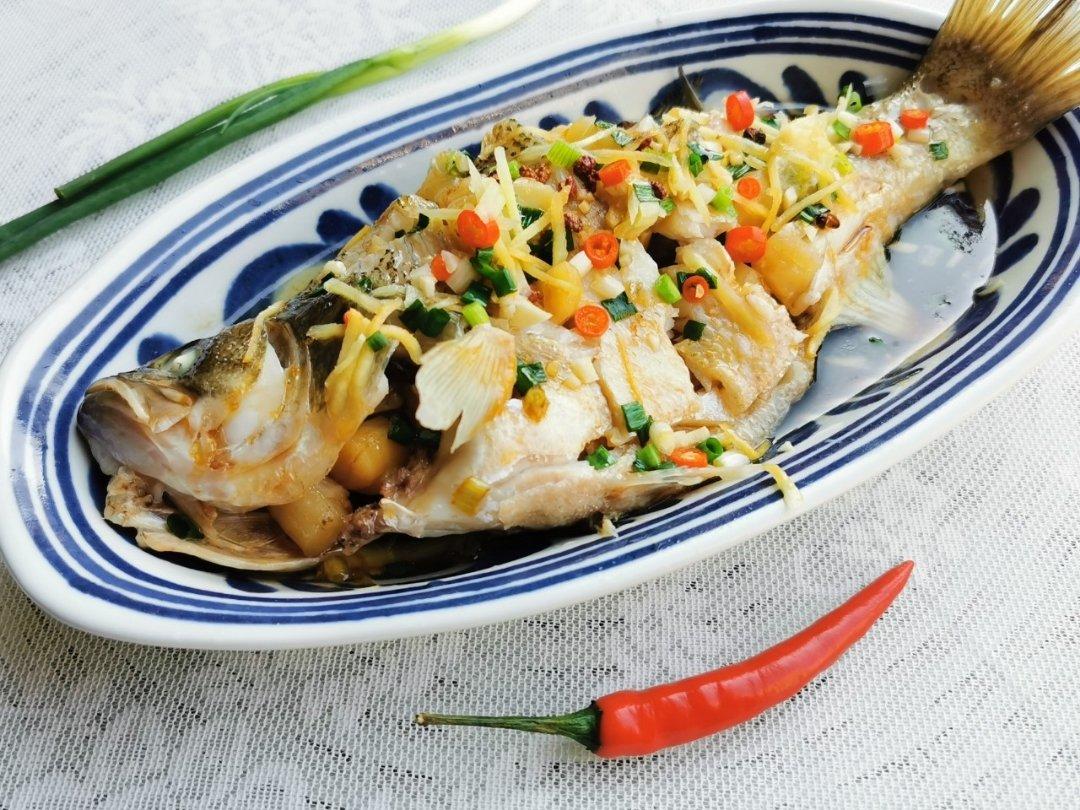 摩飞极速蒸锅食谱～鲈鱼蒸干贝