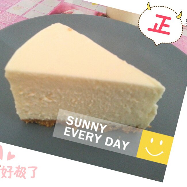 冻酸奶芝士蛋糕