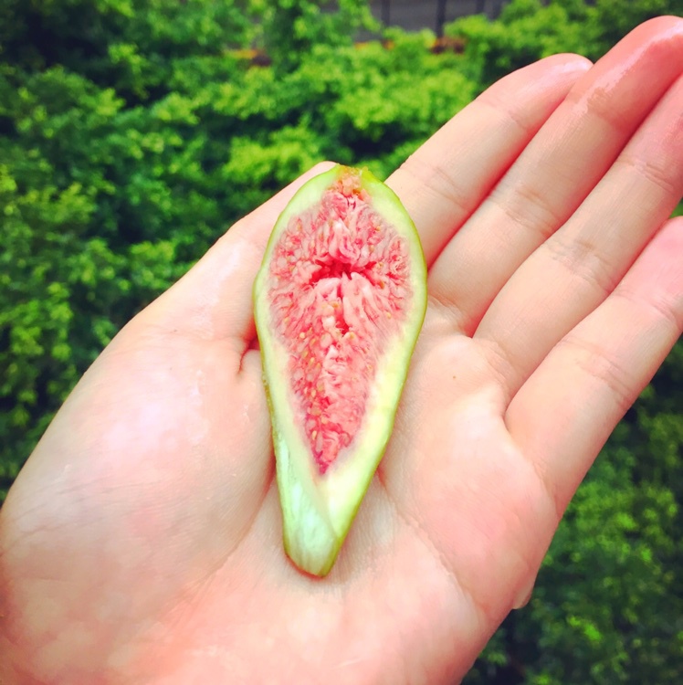 美极桂虾(以及给你做饭的那些日子里的碎碎念)