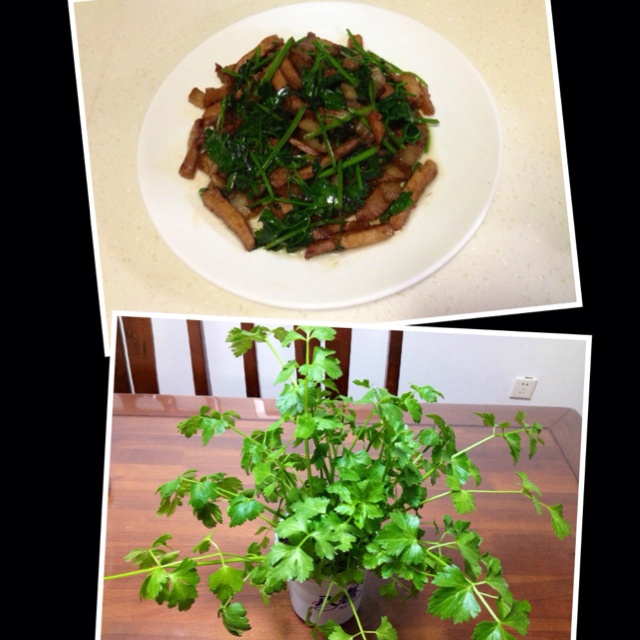芹菜炒肉丝