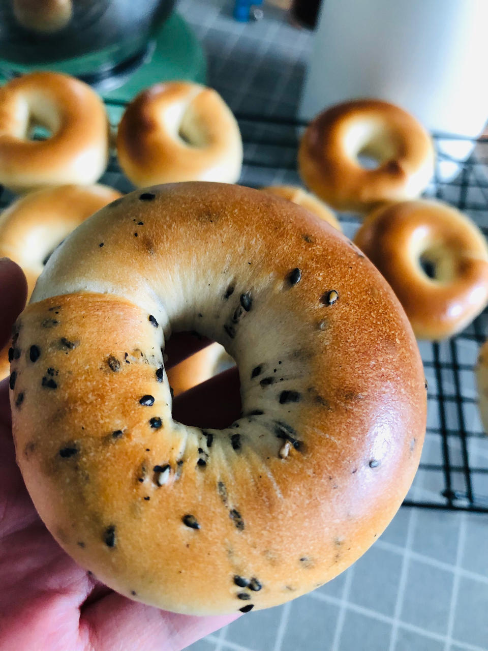 原味贝果🥯/黑芝麻贝果🥯