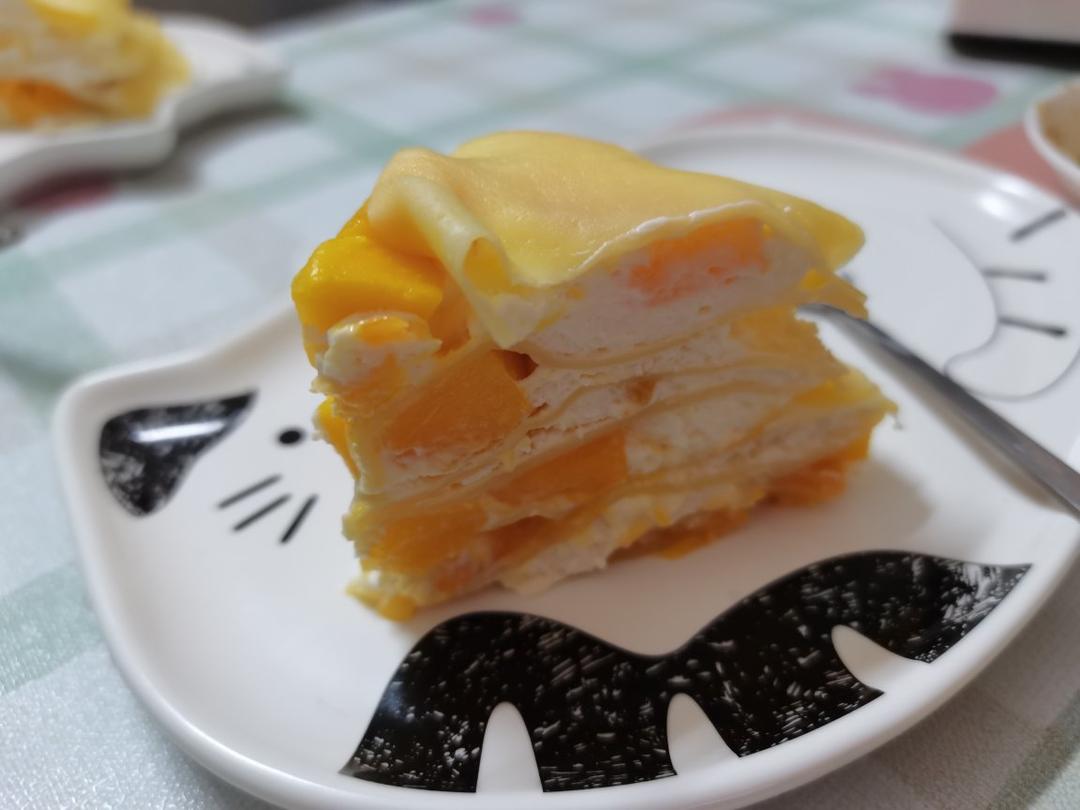 简单易做的芒果千层盒子