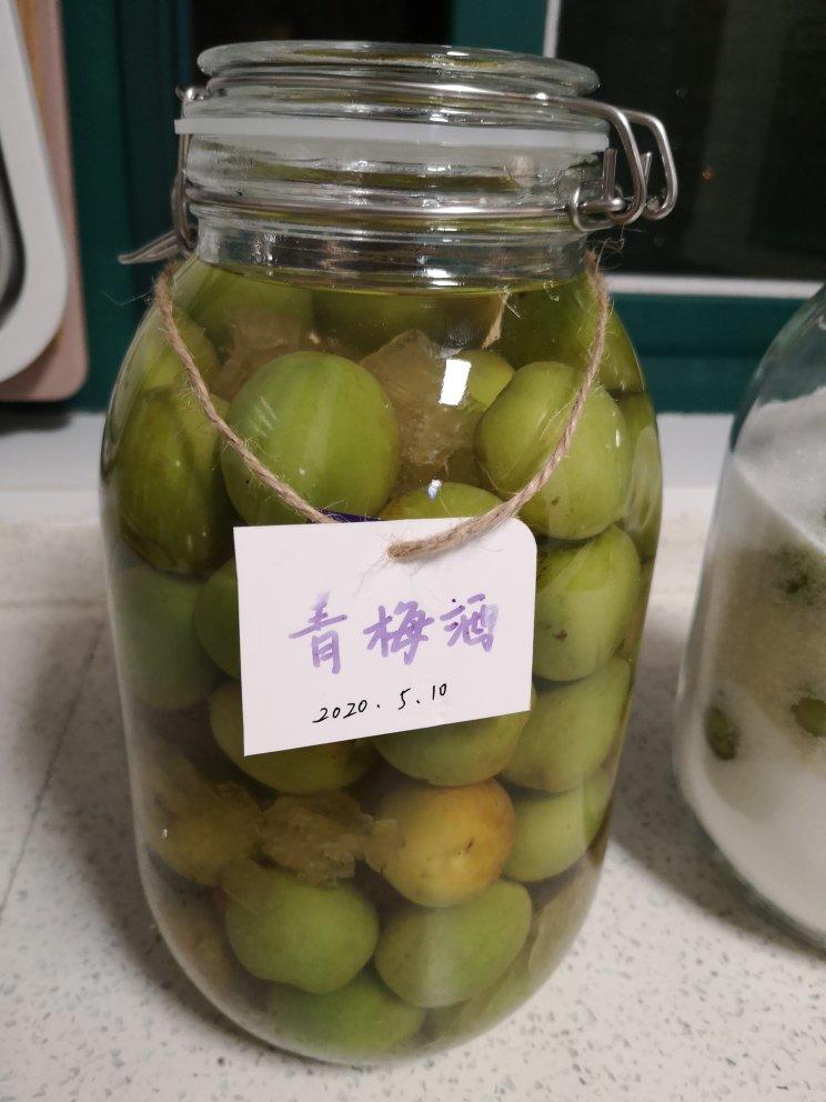 【青梅酒】梅子的沉醉时光（已填坑）