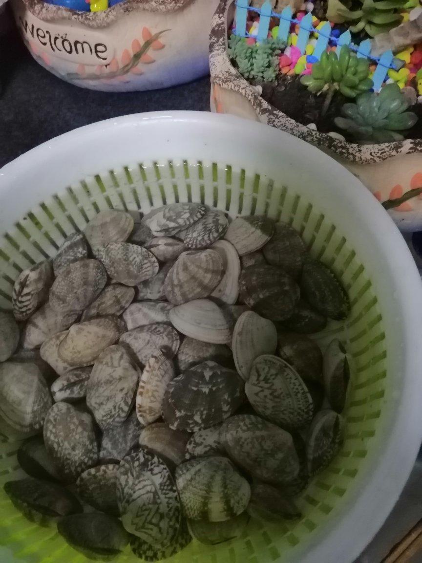5分钟快手菜❗️秒杀路边摊爆炒花甲～好吃到爆
