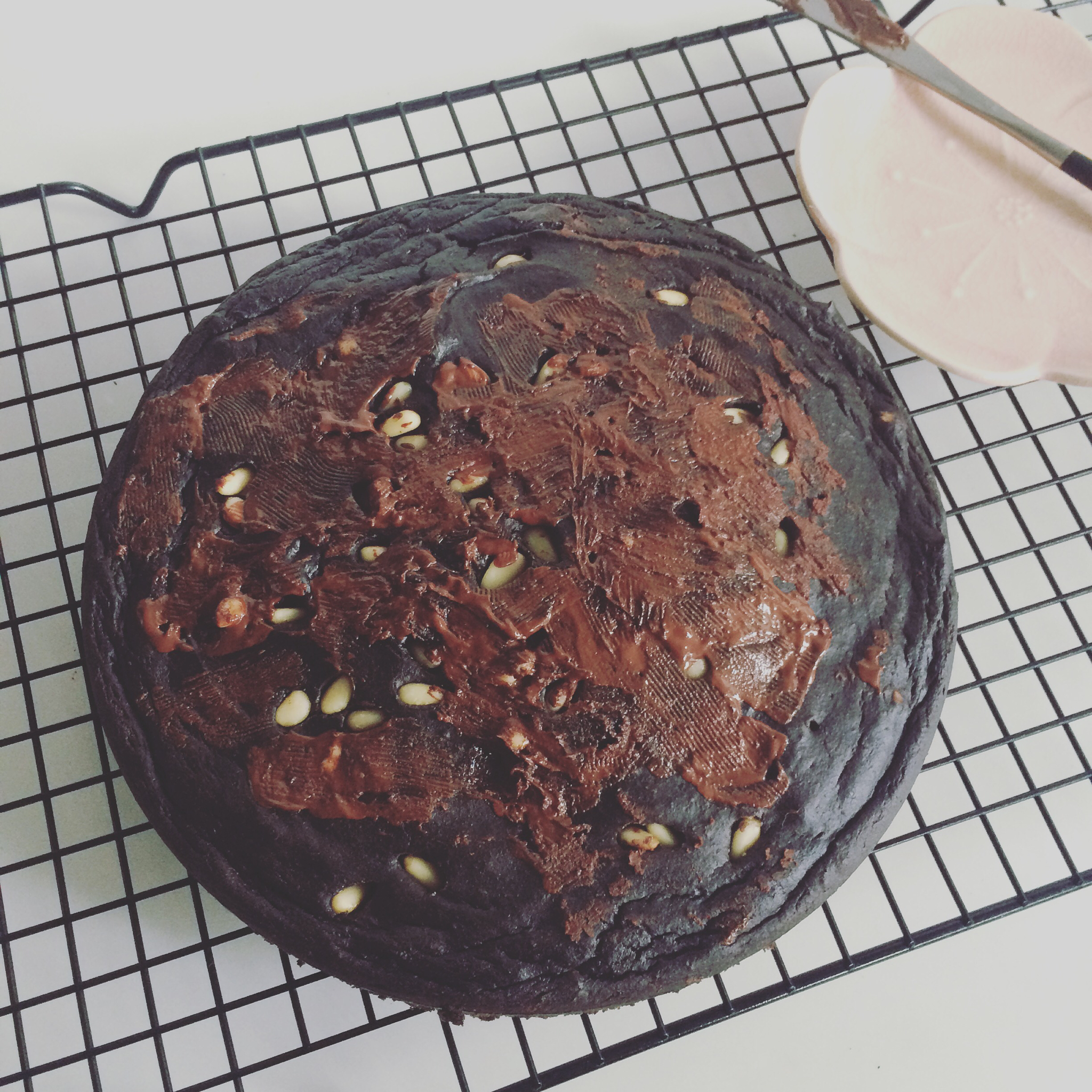 牛油果布朗尼丨健康·零食（无油无面粉）