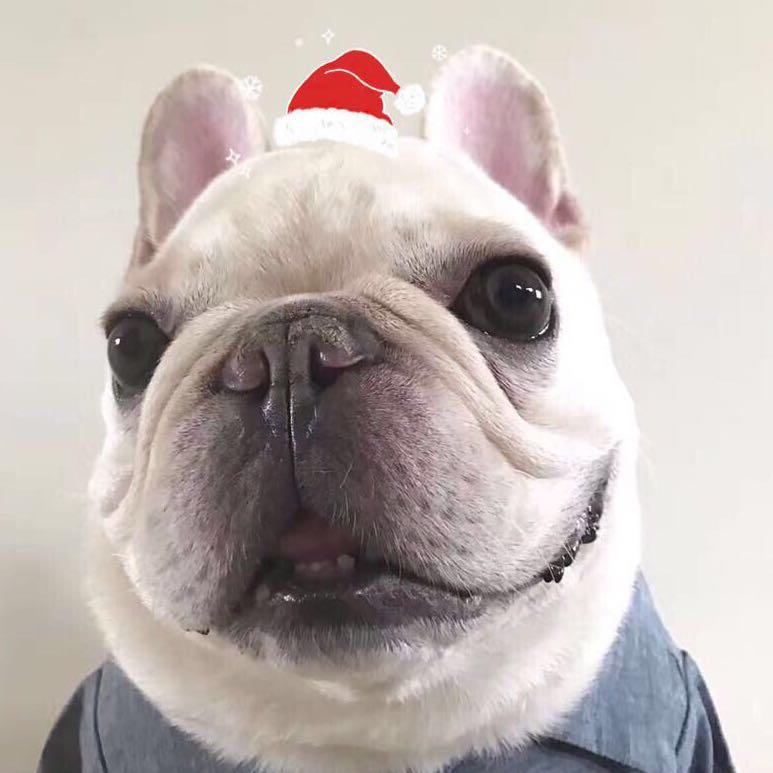 我的老大是黑总