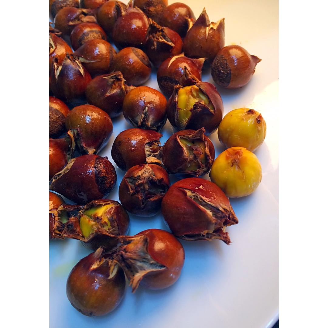 慵懒美丽的栗子