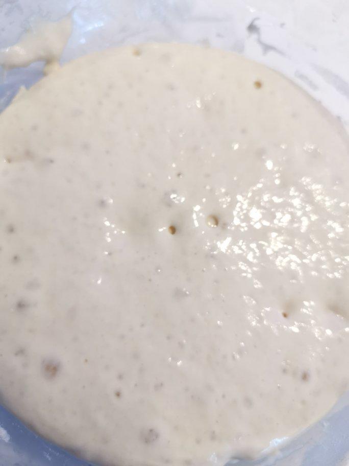 中种/汤种/老面/波兰种等面包酵头知识2