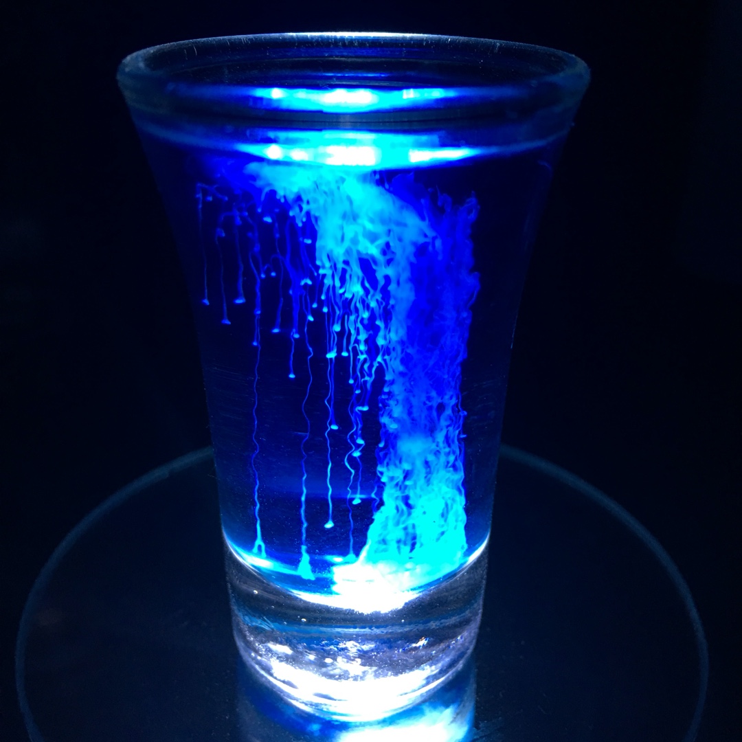【鸡尾酒】水母
