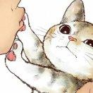 孤独的猫_rck1