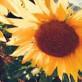 努力学做菜的孙小白