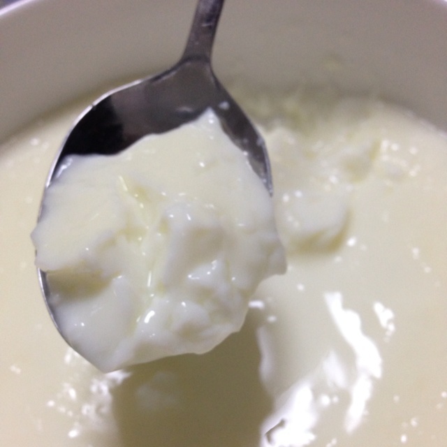 香橙花做的蛋清炖鲜奶