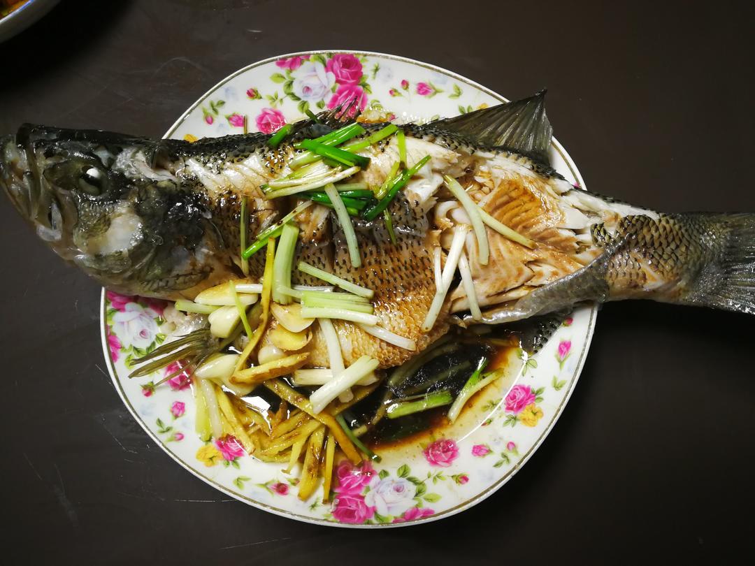 超入味清蒸鱼～清蒸鲈鱼桂花鱼（家常独创）