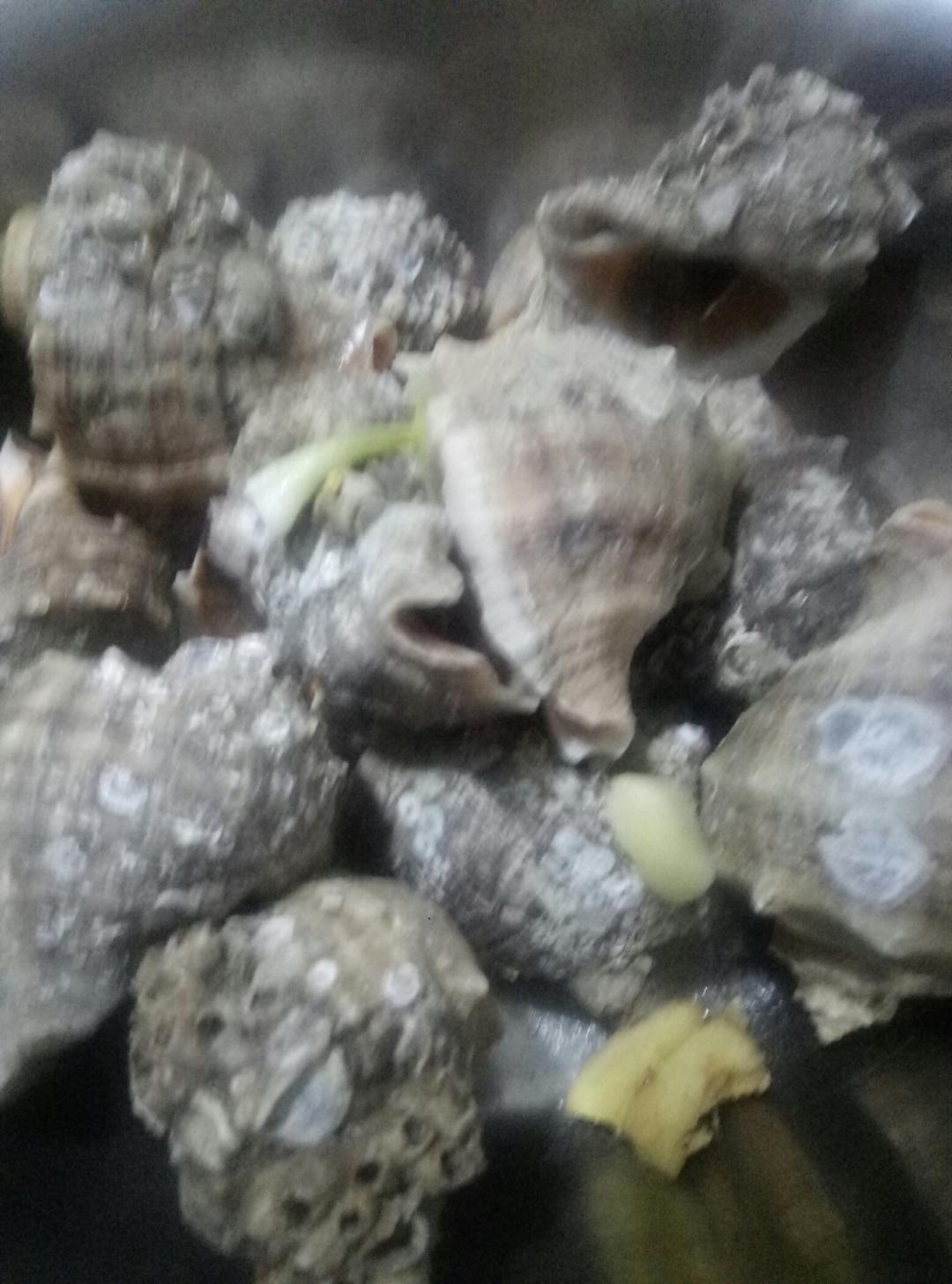 水煮海螺