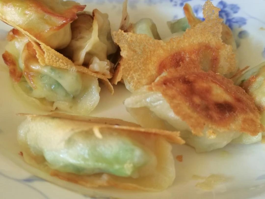 青萝卜贝丁饺子