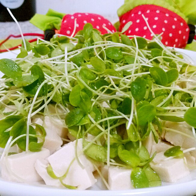 香椿苗拌豆腐