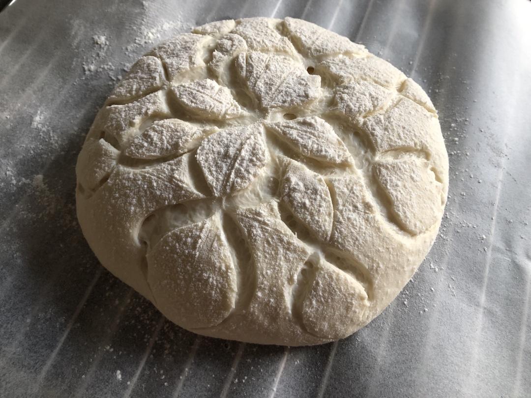 我的欧包割包视频