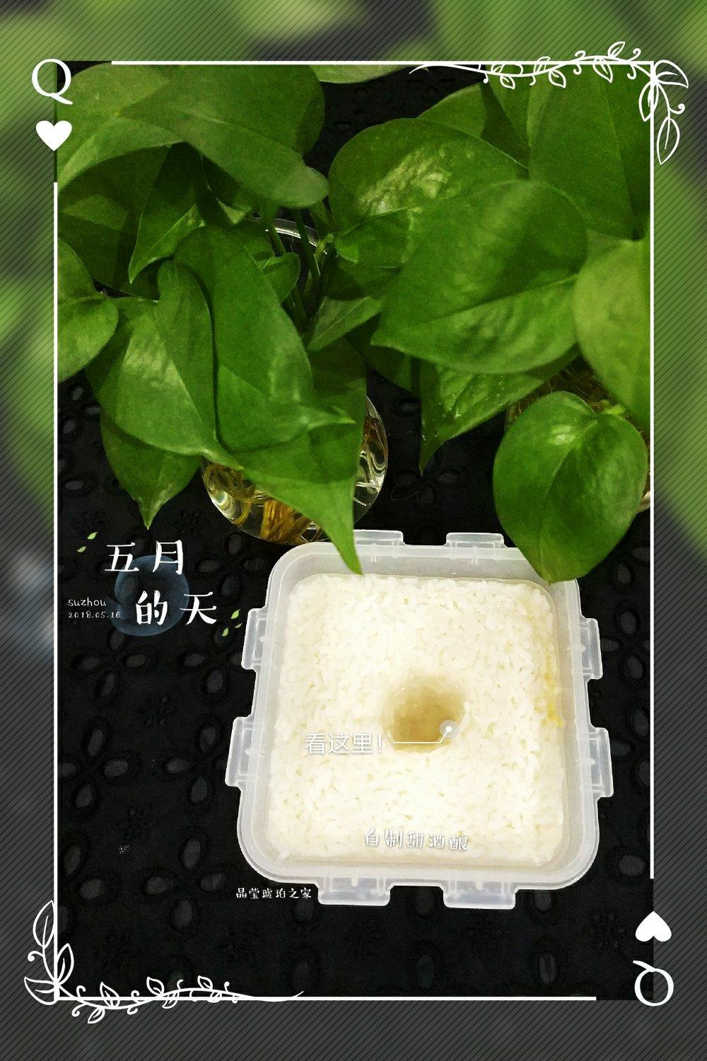 自制甜酒酿（快速法）