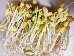造个神器自发黄豆芽的做法 步骤8