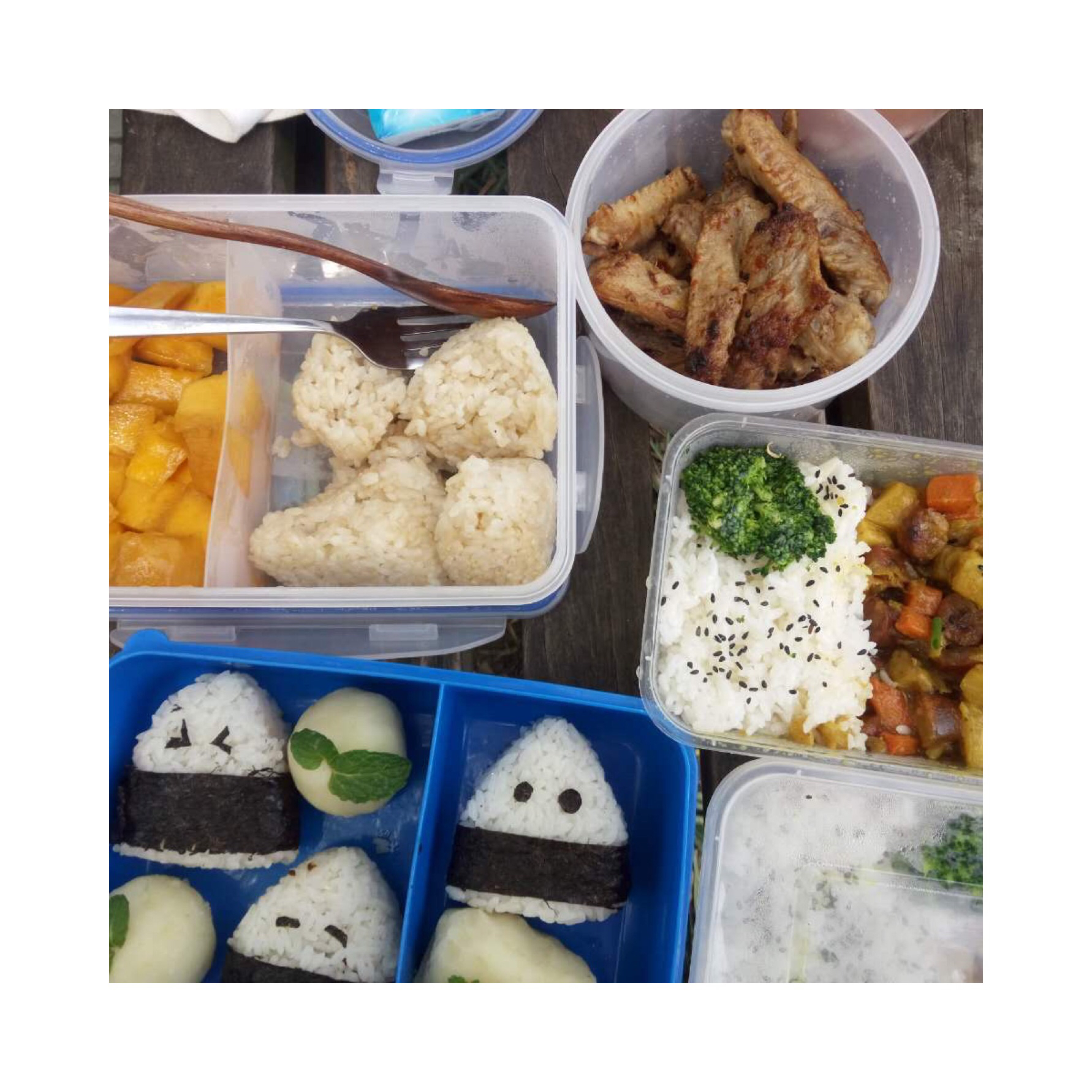 日食录