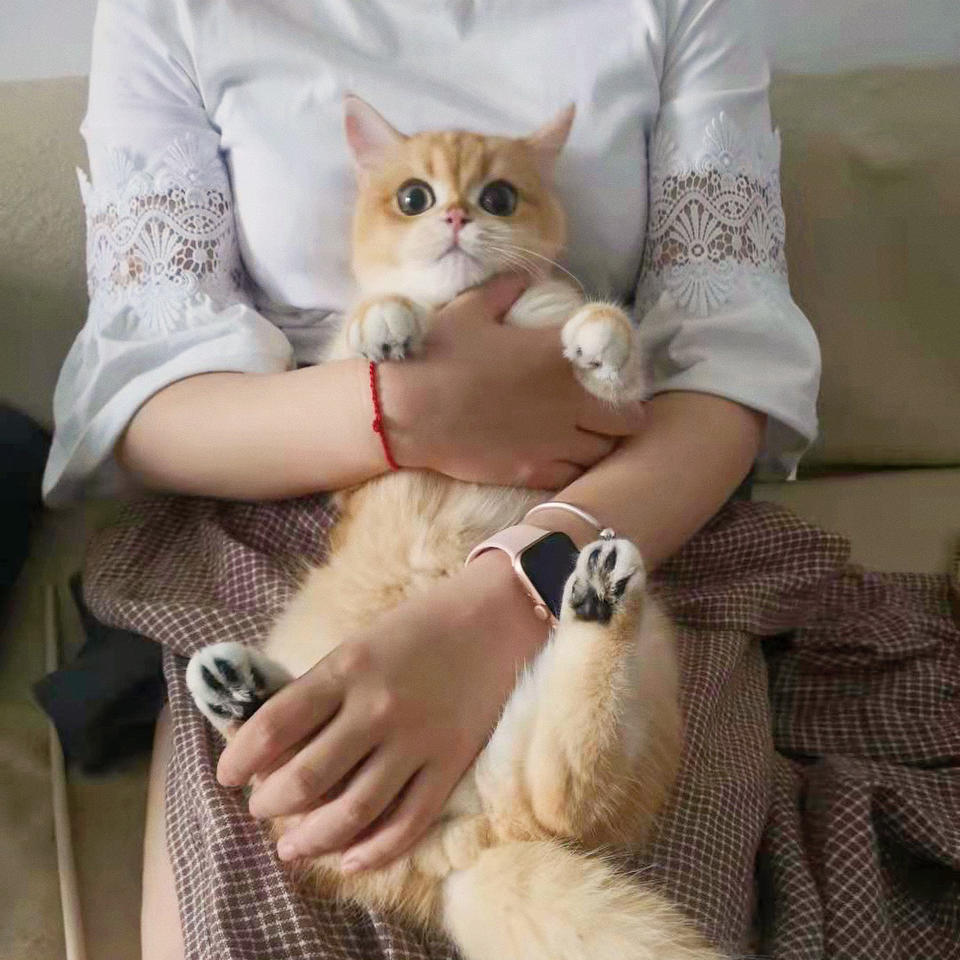 甜甜甜肉包子