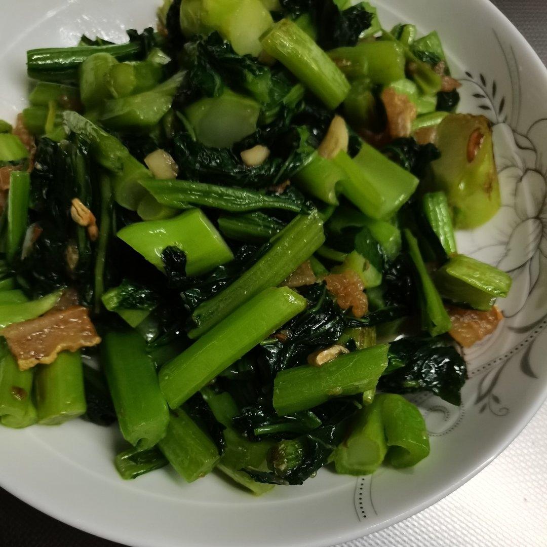 猪油春菜